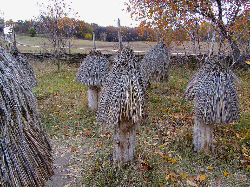 Can you guess what these are? My aunt says they are bee hives.