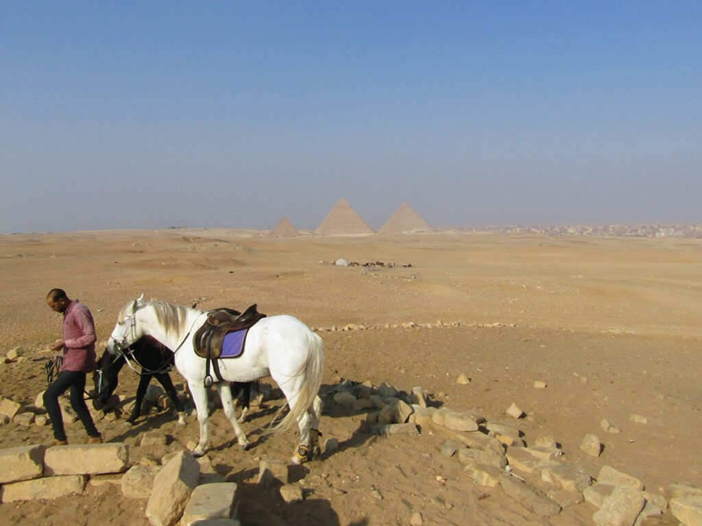 Tamer leading the horses to a resting spot.