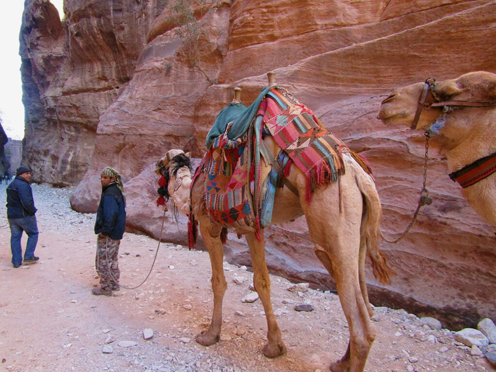 The local B'doul tribe make their living selling souvenirs and offering donkey or camel rides inside Petra.