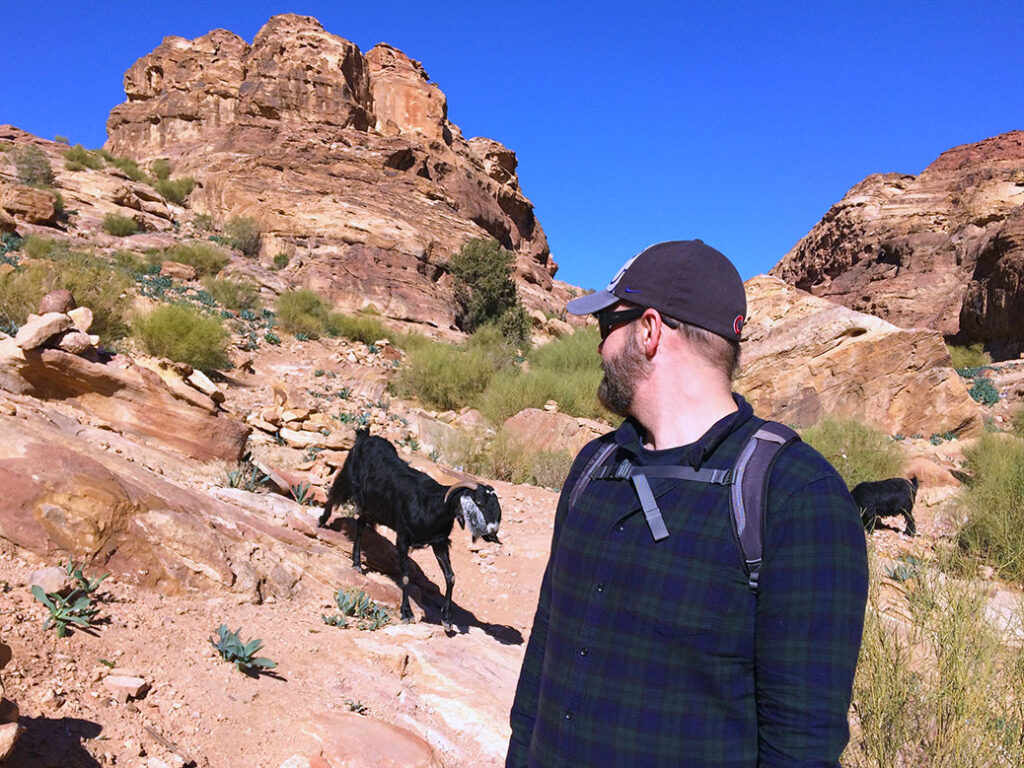 We encountered a herd of mountain goats near the top of Al Kubtha Mountain.